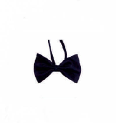 BT019 customized suit bow tie online order formal bow tie manufacturer detail view-3